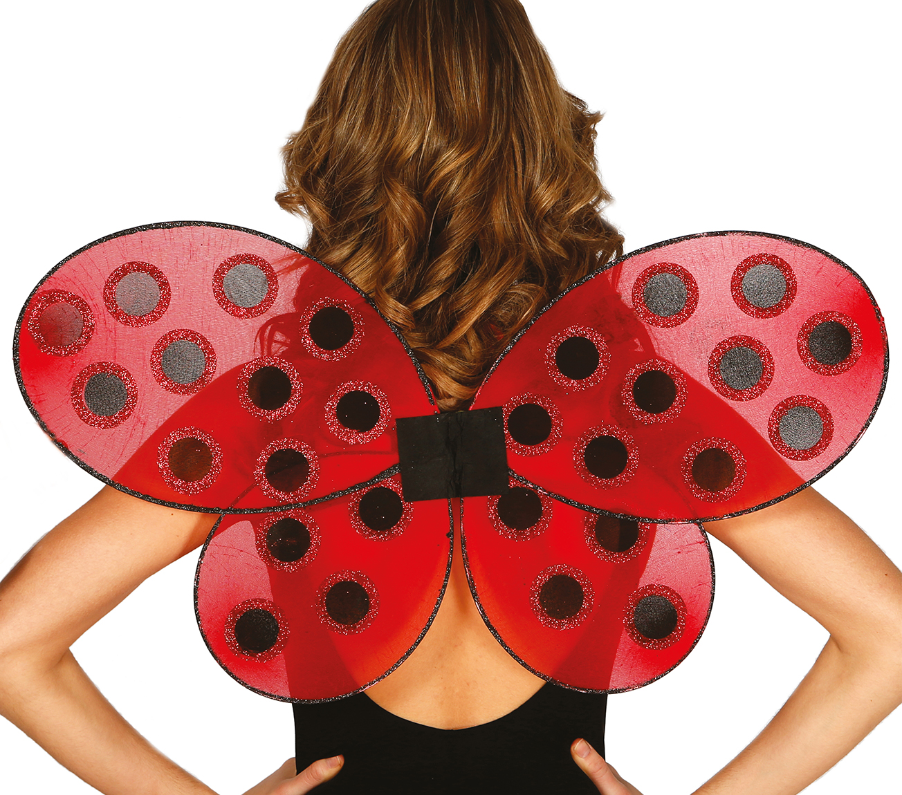 Guirca Katicabogár szárnyak