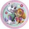 Taniere Paw Patrol Skye & Everest 8 ks