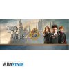 Hrnček Harry Potter - Harry & Cie