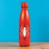 Kovová fľaša na nápoj Spider-Man (Torso) 550 ml