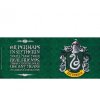 harry potter mug 460 ml slytherin box x2 (2)
