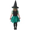 Detský kostým Čarodejnice - zelený