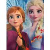 Detský batoh - Frozen
