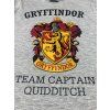 Chlapčenské tričko s dlhým rukávom - Harry Potter Chrabromil sivé