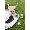 Menovky - Futbal 10 ks