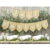 Banner - Just Married 23 x 185 cm