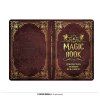 Čarodejnícka kniha