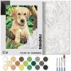 780804866193 RVS AMAZON 2560PX PAINT BY NUMBERS LABRADOR [DHI] 780804866193
