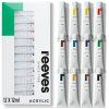 Sada akrylových farieb 12x12ml Reeves