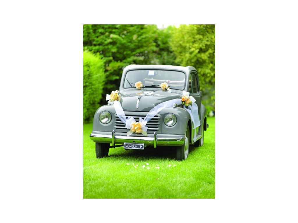 Zestaw do dekoracji samochodu