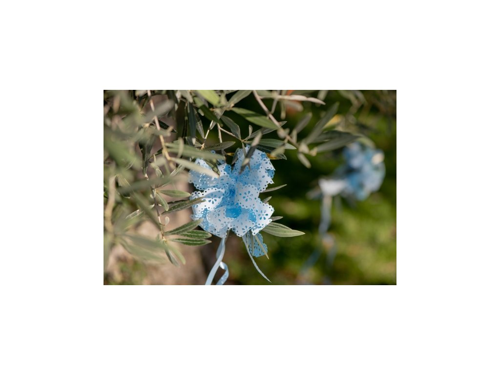 Kokardki ozdobne - jednokolorowe 5 szt