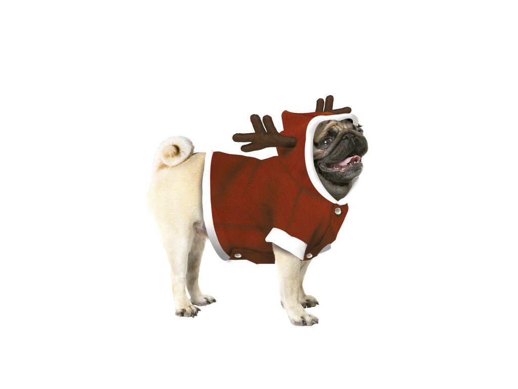 Kostium dla psa - renifer
