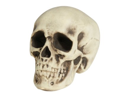 Dekorácia - Penová lebka 20 cm