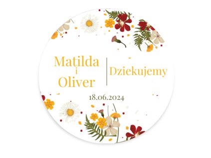 Magnetky (80) (2)
