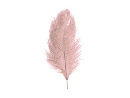 bag of 5 old pink ostrich feathers 20 25cm