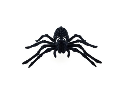 araignee squelette noire floquee 22cm x 13cm