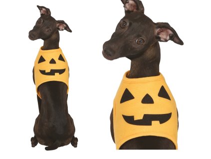 Kostým pre psa - Tekvica