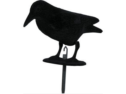 100229 2 zapich do kvetinaca havran 30 cm