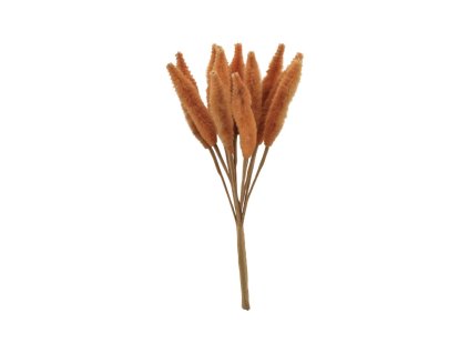 tige effet lagurus camel 12 pieces 7cm x 16cm