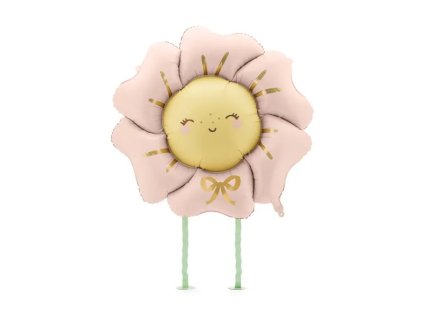 big FB273 081RM 01 S