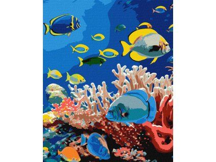 Maľovanie podľa čísel - Život v oceáne 40 x 50 cm