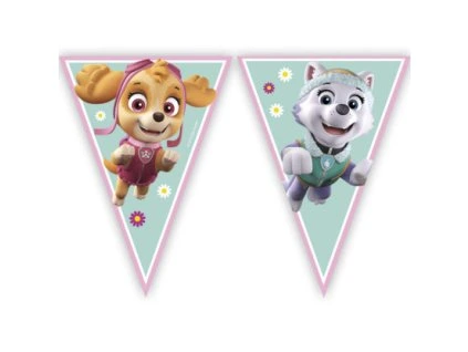Banner Paw Patrol Skye & Everest