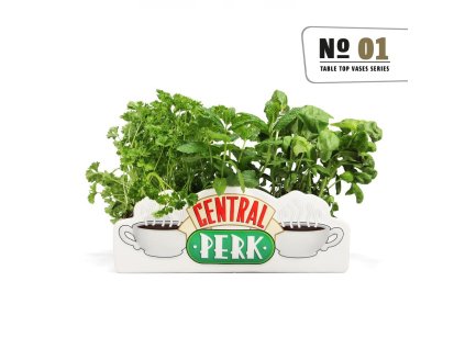 Váza na stôl - Friends