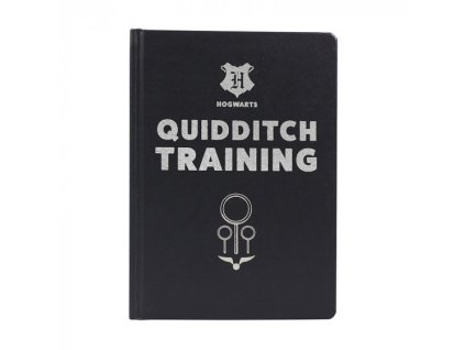 Zápisník Harry Potter - Tréning Metlobalu