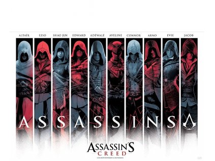assassin s creed poster assassins 915x61