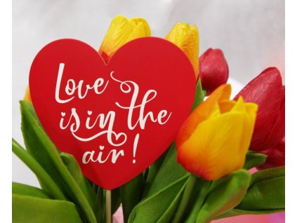 79436 1 papierova dekoracia love is in the air srdce 10x30 cm