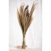 bunch of natural pampa grass 250gr 110cm