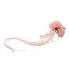 bunch of 3 powder pink roses 16cm x 10cm x 70cm (2)