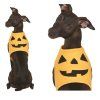 Kostým pre psa - Tekvica
