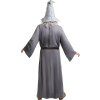 Pánsky kostým Gandalf - Pán prsteňov