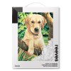780804866193 RVS AMAZON 2560PX PAINT BY NUMBERS LABRADOR [FOP] 780804866193