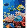 Maľovanie podľa čísel - Život v oceáne 40 x 50 cm