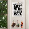 Plagát Denný prorok Harry Potter Undesirable No.1 - Harry Potter