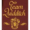 Chlapčenské tričko s dlhým rukávom - Harry Potter Metlobal bordové