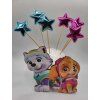 Magnetka na tortu Paw Patrol - Everest a Skye