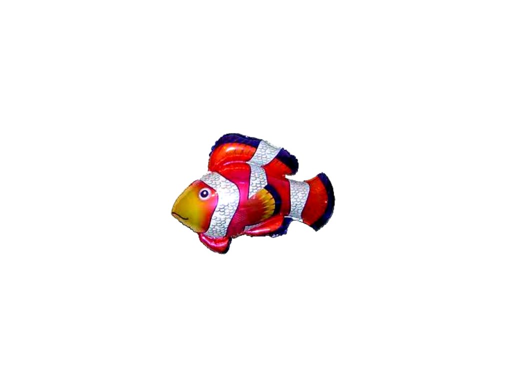 balon ryba klaun r 750x750
