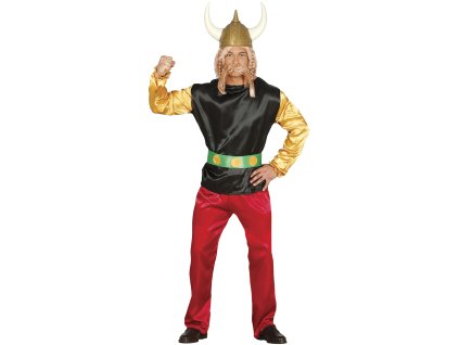 COSTUM ASTERIX