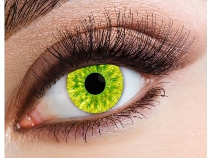 Šošovky 1-dňové Avatar