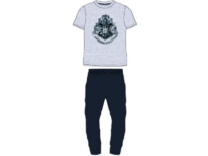 Pijamale bărbați Harry Potter - gri Rokfort