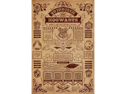 77811 plagat harry potter quidditch in hogwarts