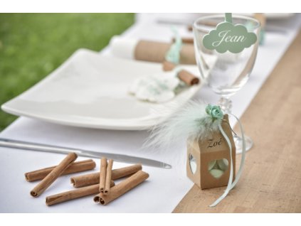 Pene decorative
