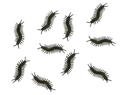 Dekorácie - Stonožky 10 ks