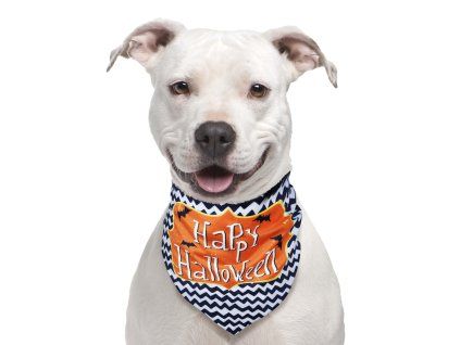 Šatka pre psov - Happy Halloween