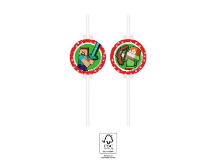 Paiele de hârtie - Minecraft 4pcs