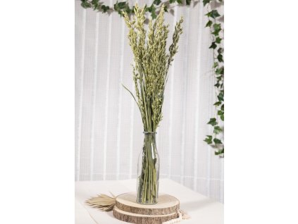 bunch haver avena natural green 65cm 180 gr (1)