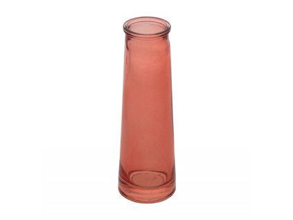 pink lady samba soliflore dia 5cm x 14 5cm